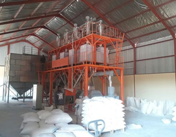 Kingoal Milling project01 Namibia 50T Wheat Flour Mill Machine 