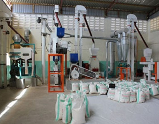 Kingoal Milling project03 50T Maize Mill in Tanzania 