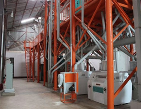 Kingoal Milling project07 100T Maize flour mill in Tanzania 