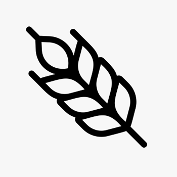 Kingoal Milling wheat-milling-1 Home 